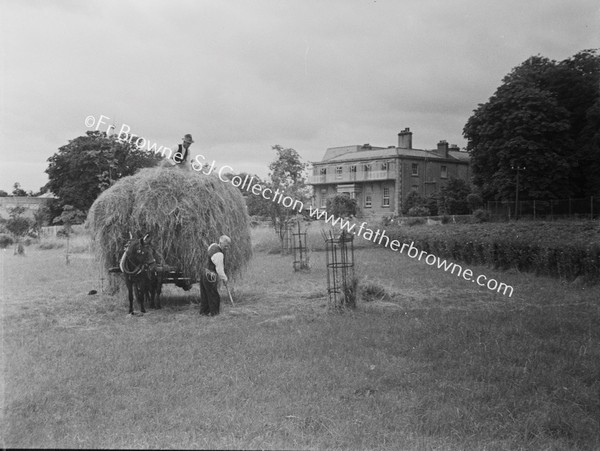 HAYMAKING AT THE OLD HOUSE